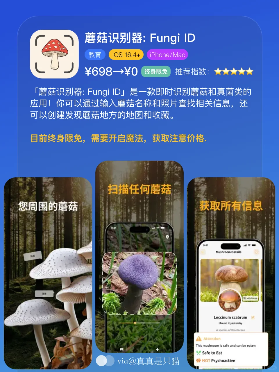App Store今日限免｜¥974→¥0｜白嫖！