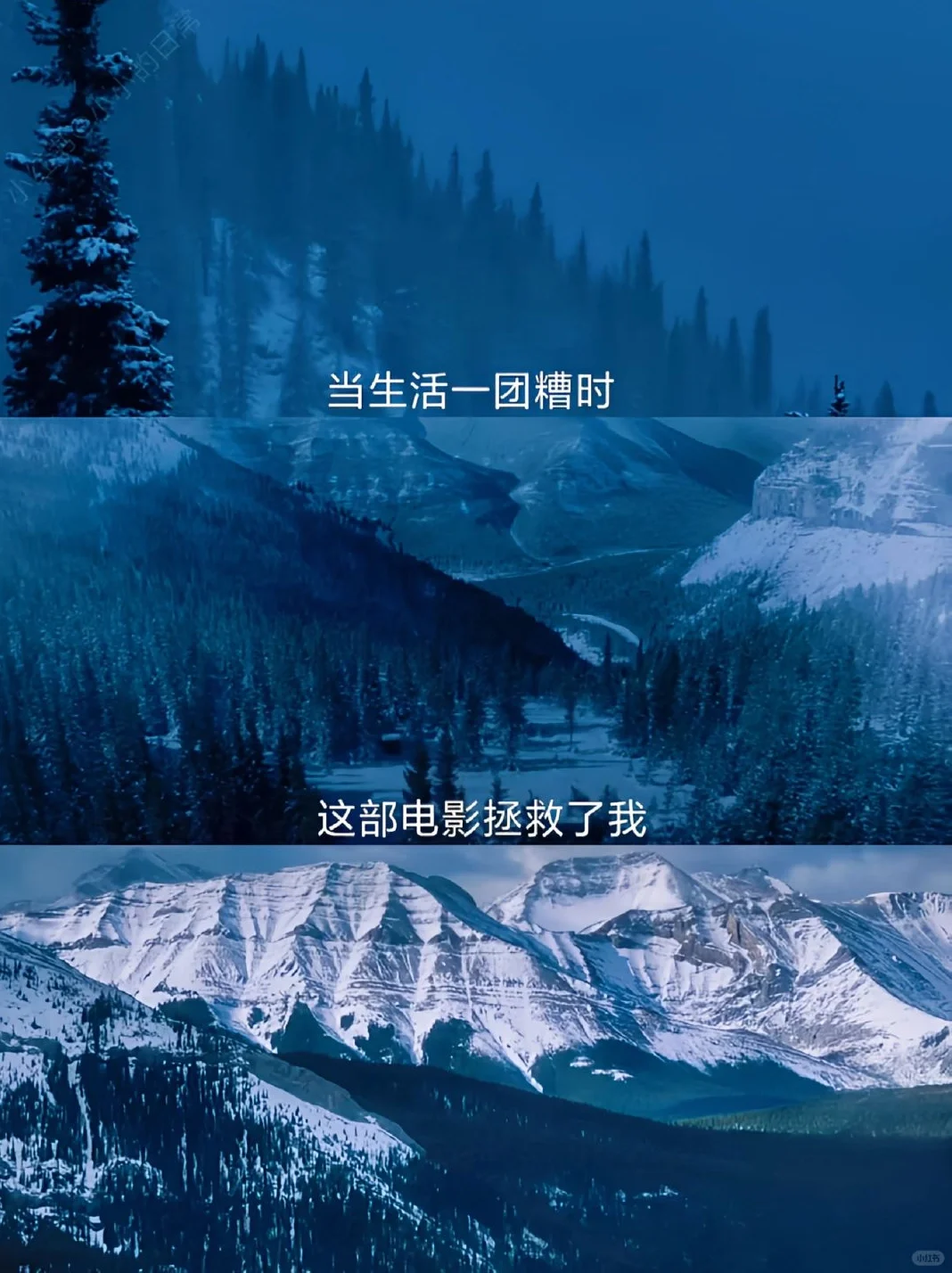 必看🎬！近期最佳电影，感动哭了😭