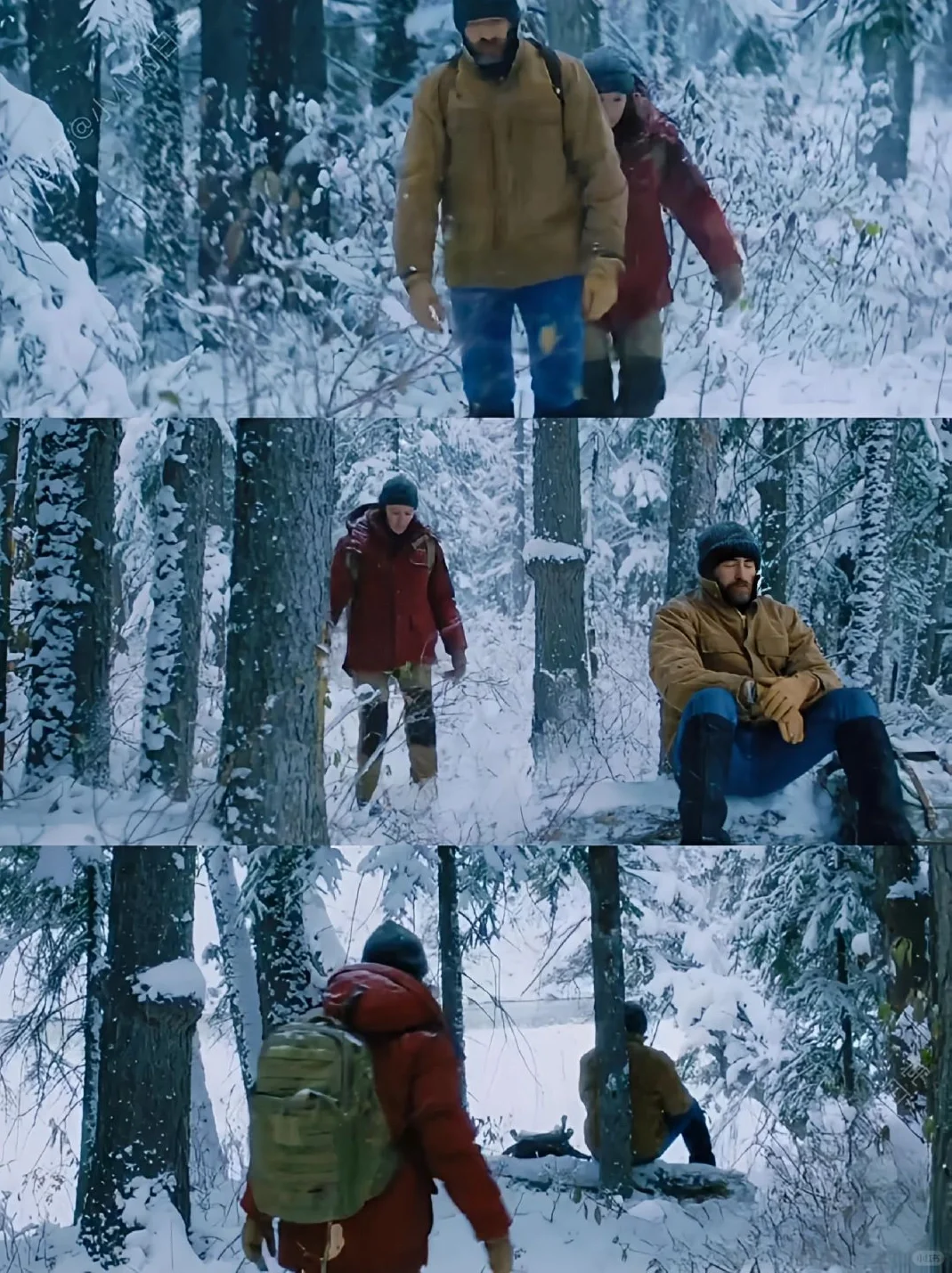 必看🎬！近期最佳电影，感动哭了😭