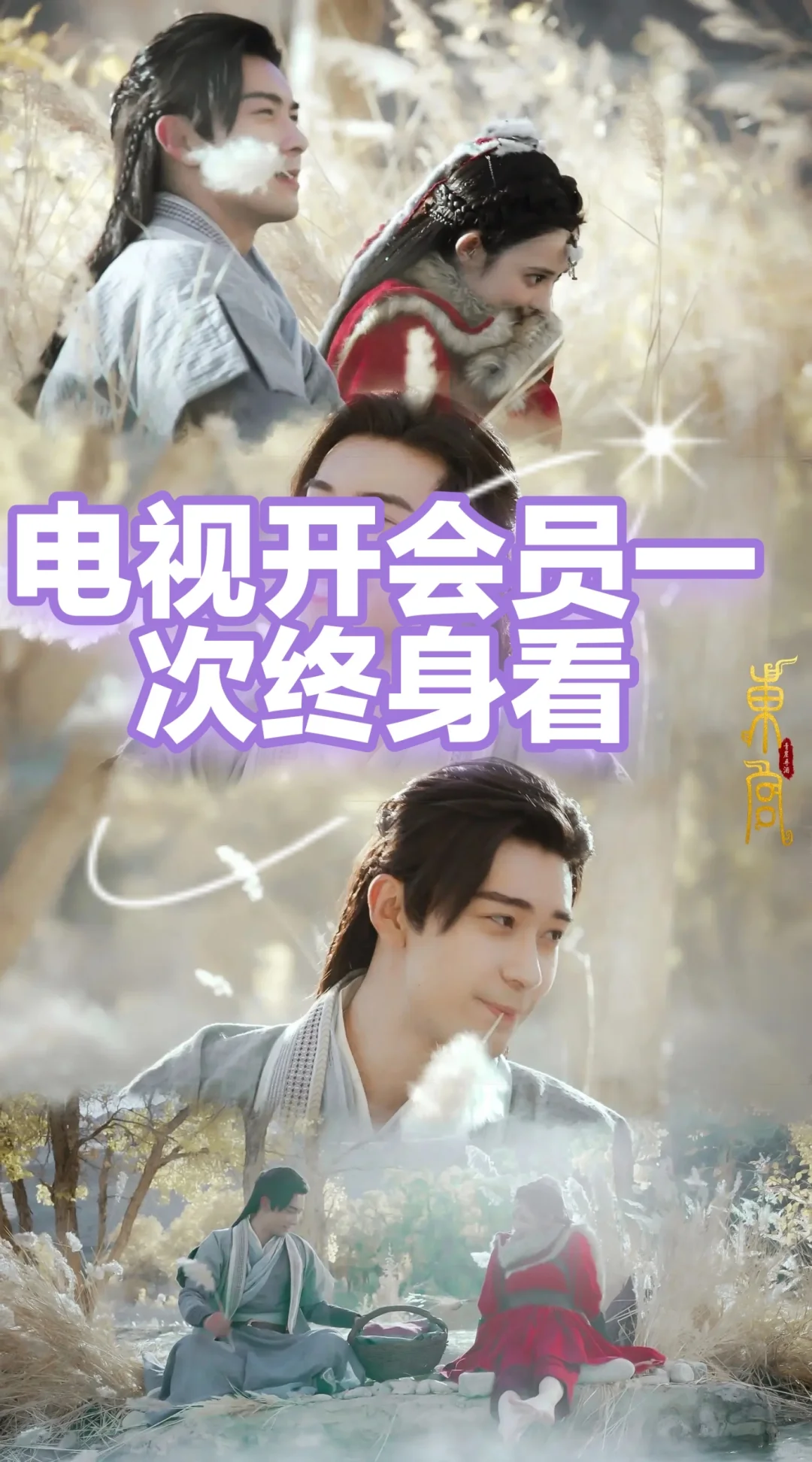 电视电影开通会员一次终身看