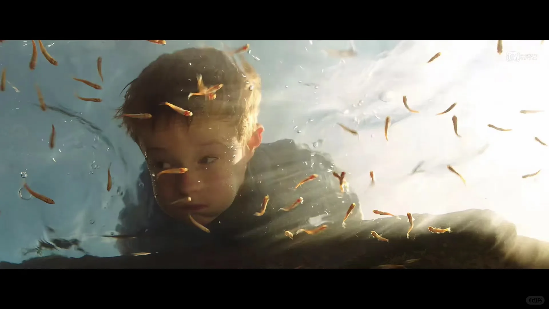 如何从一部电影中学到顶级拍照技巧？📸