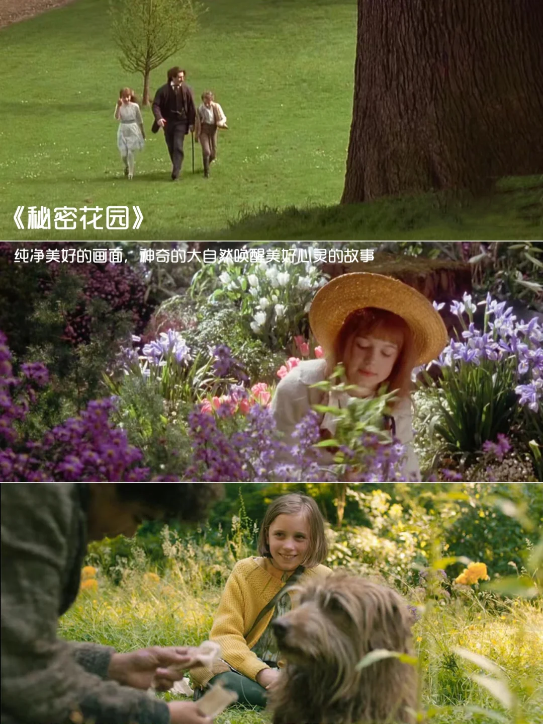 强烈推荐‼️提高审美必看的12部电影