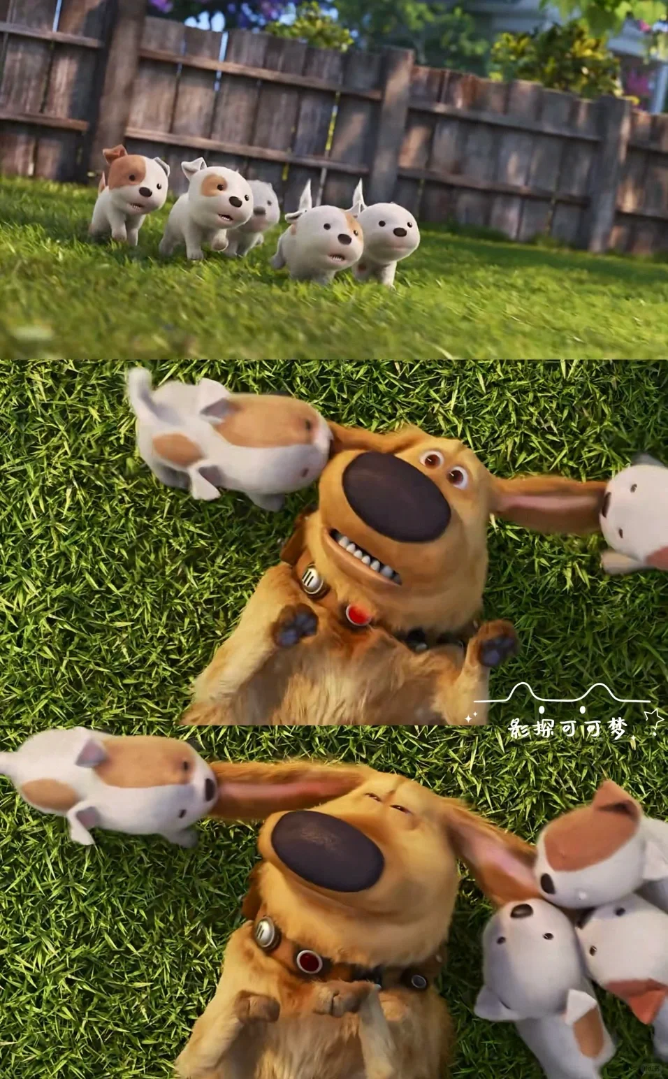 计划一年365部动画片：第8️⃣部