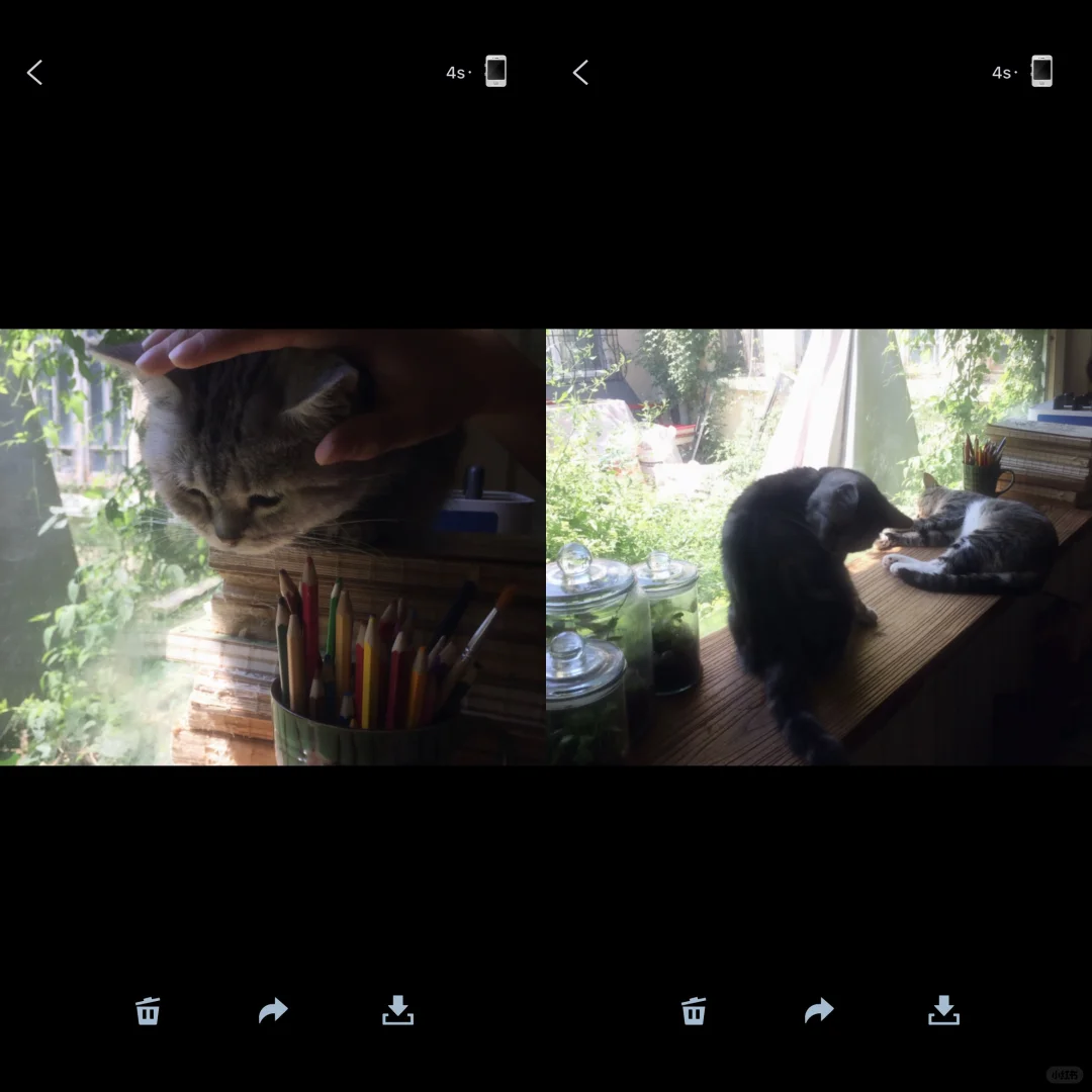 ✶調色app｜夏夜夢核膠片&-core美學打造*