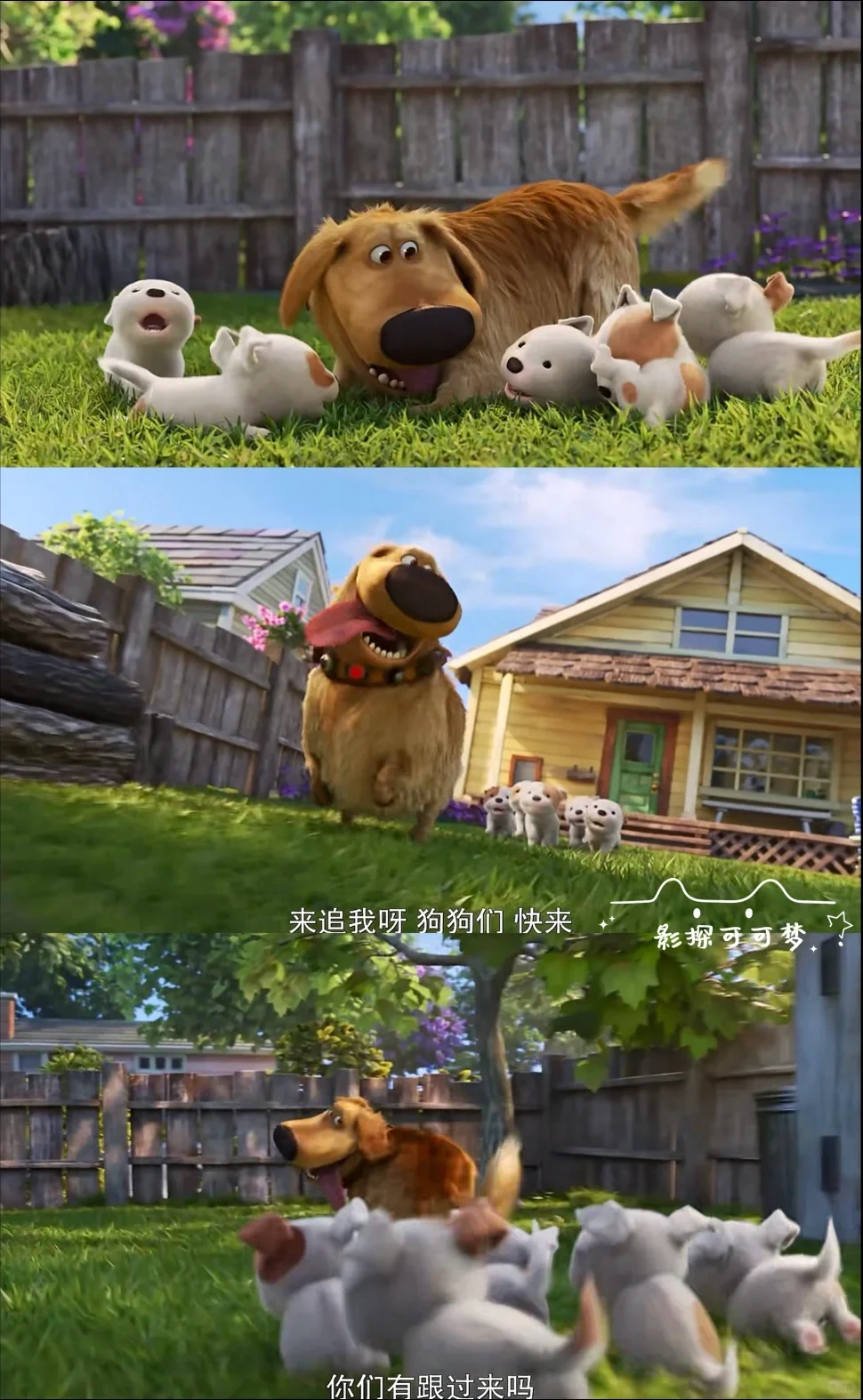 计划一年365部动画片：第8️⃣部