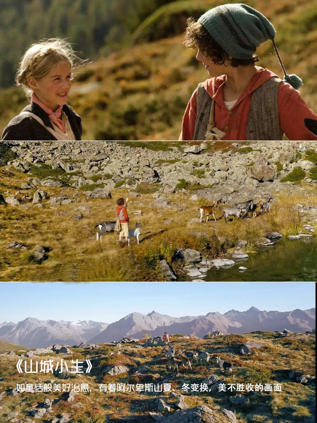 强烈推荐‼️提高审美必看的12部电影