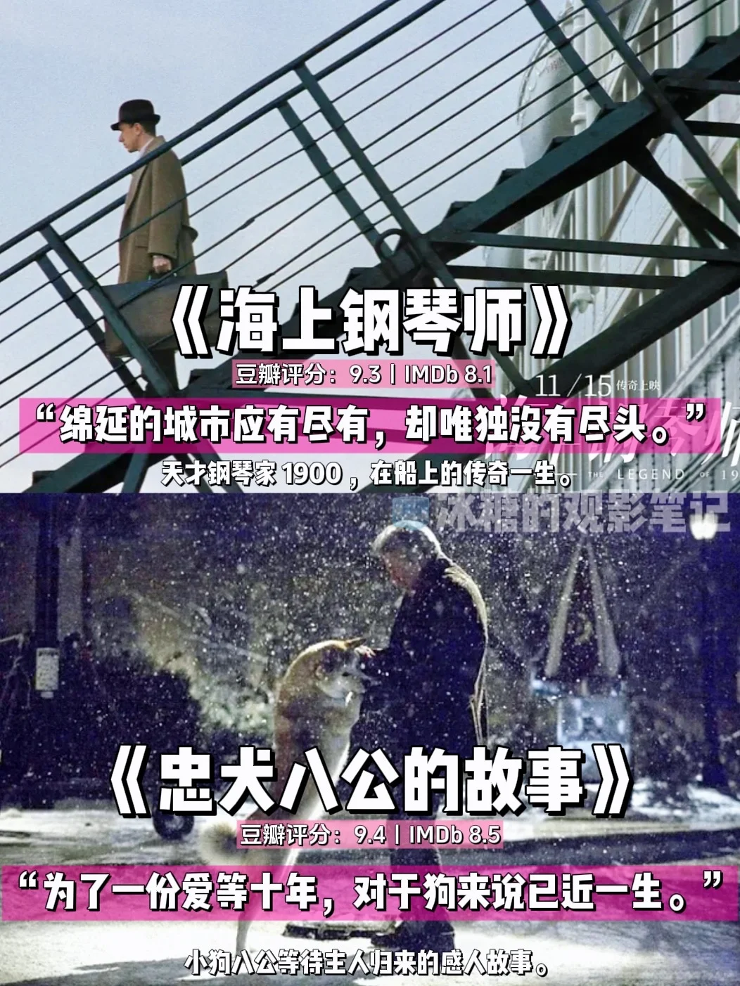 必看❗18部治愈系电影，一键驱散所有emo