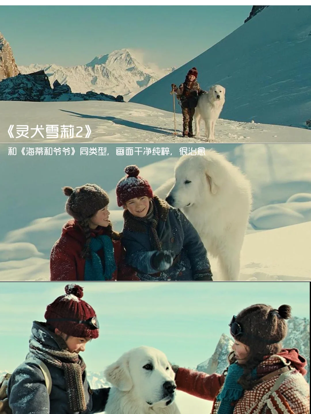 强烈推荐‼️提高审美必看的12部电影