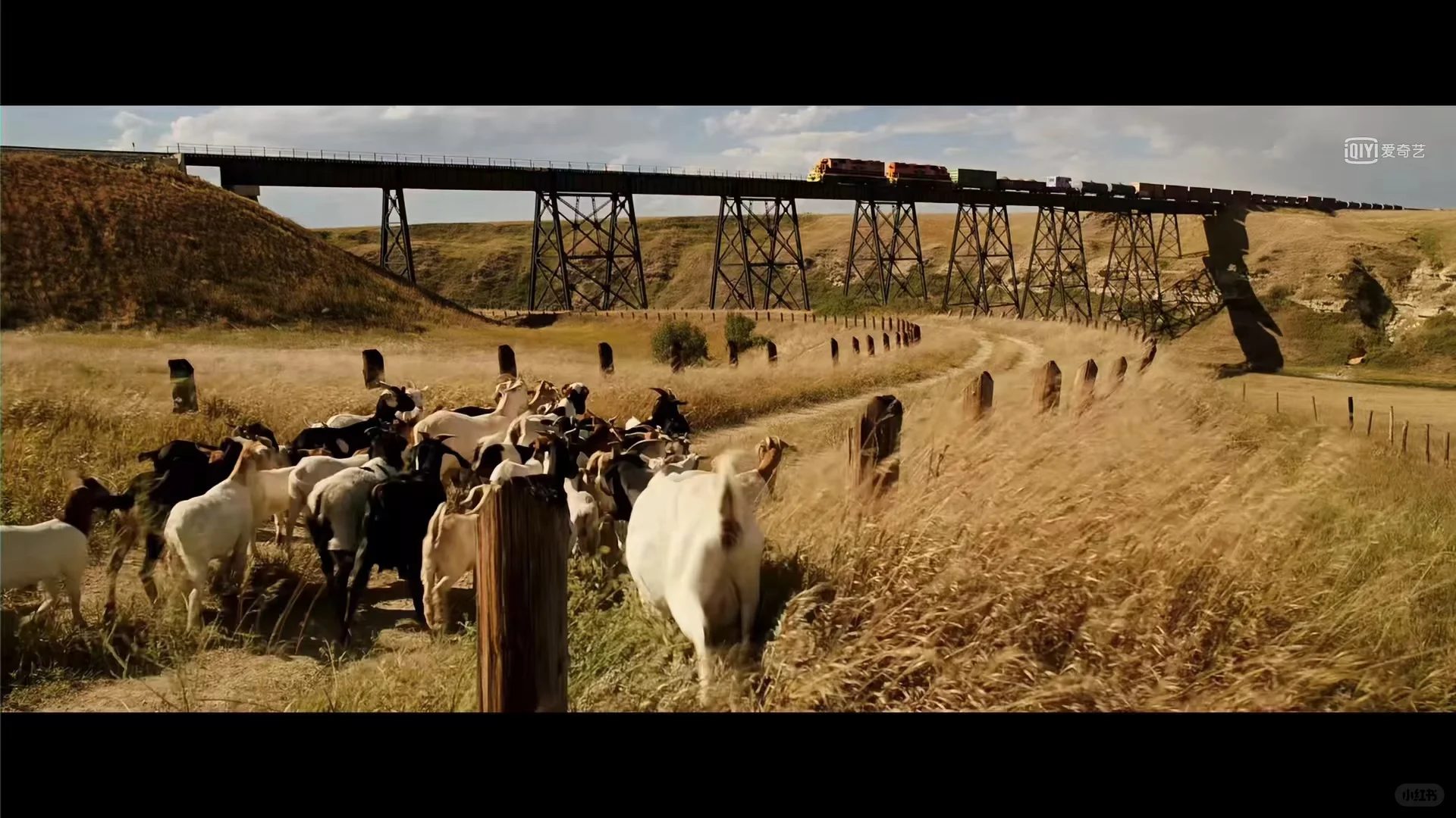 如何从一部电影中学到顶级拍照技巧？📸