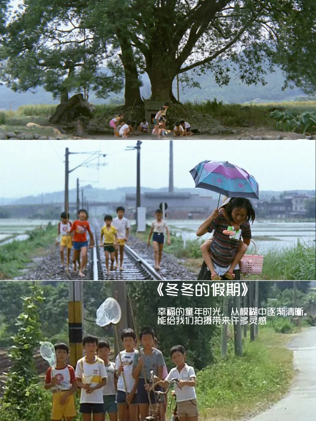 强烈推荐‼️提高审美必看的12部电影