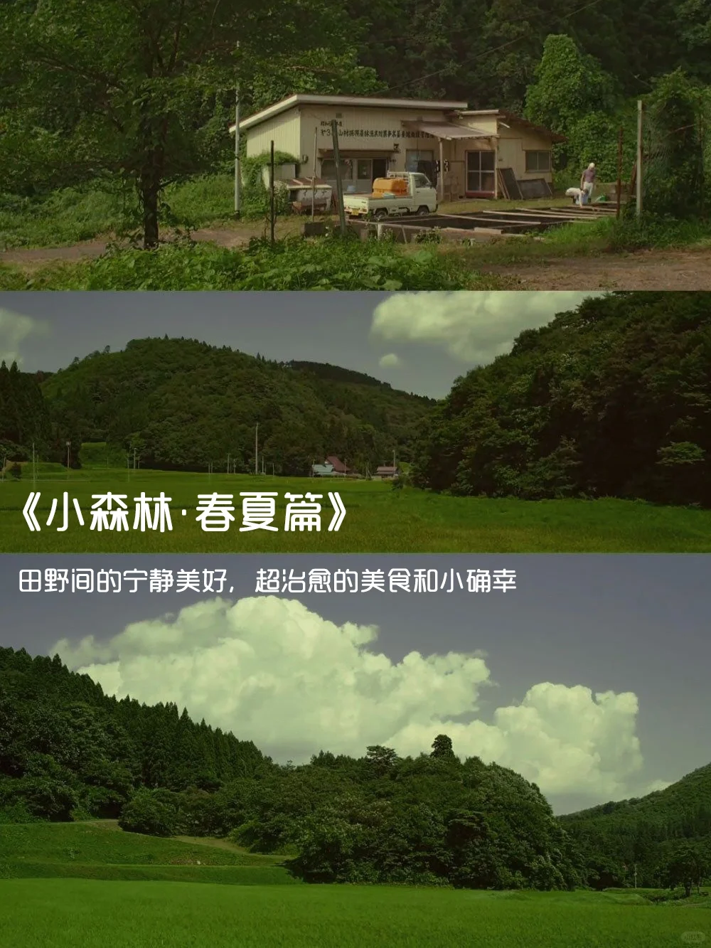 强烈推荐‼️提高审美必看的12部电影