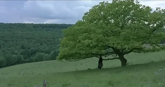 狂揽七项大奖，唯美又残酷的法国电影