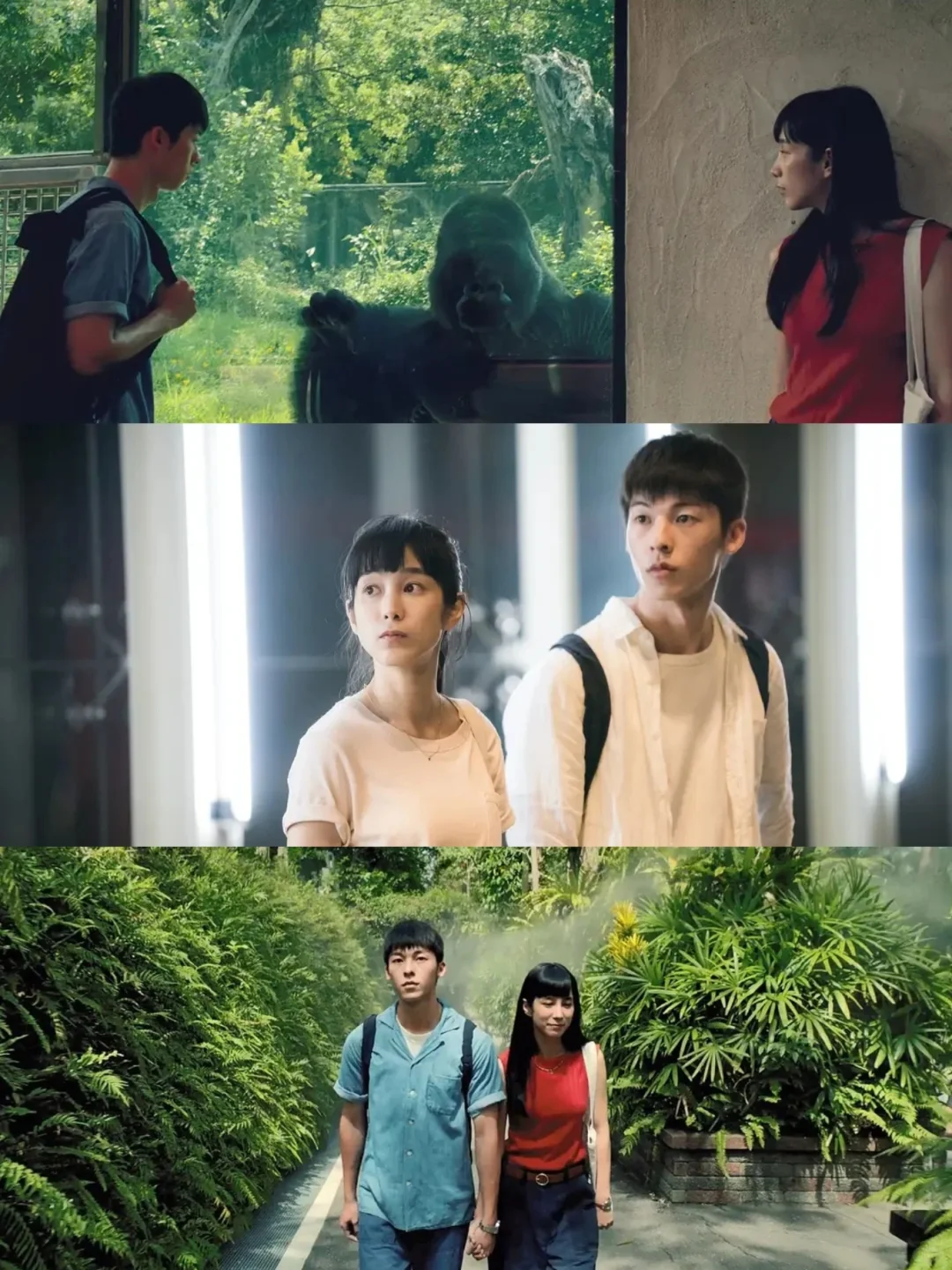 都去看！讲原生家庭最好的电影😭后劲很大