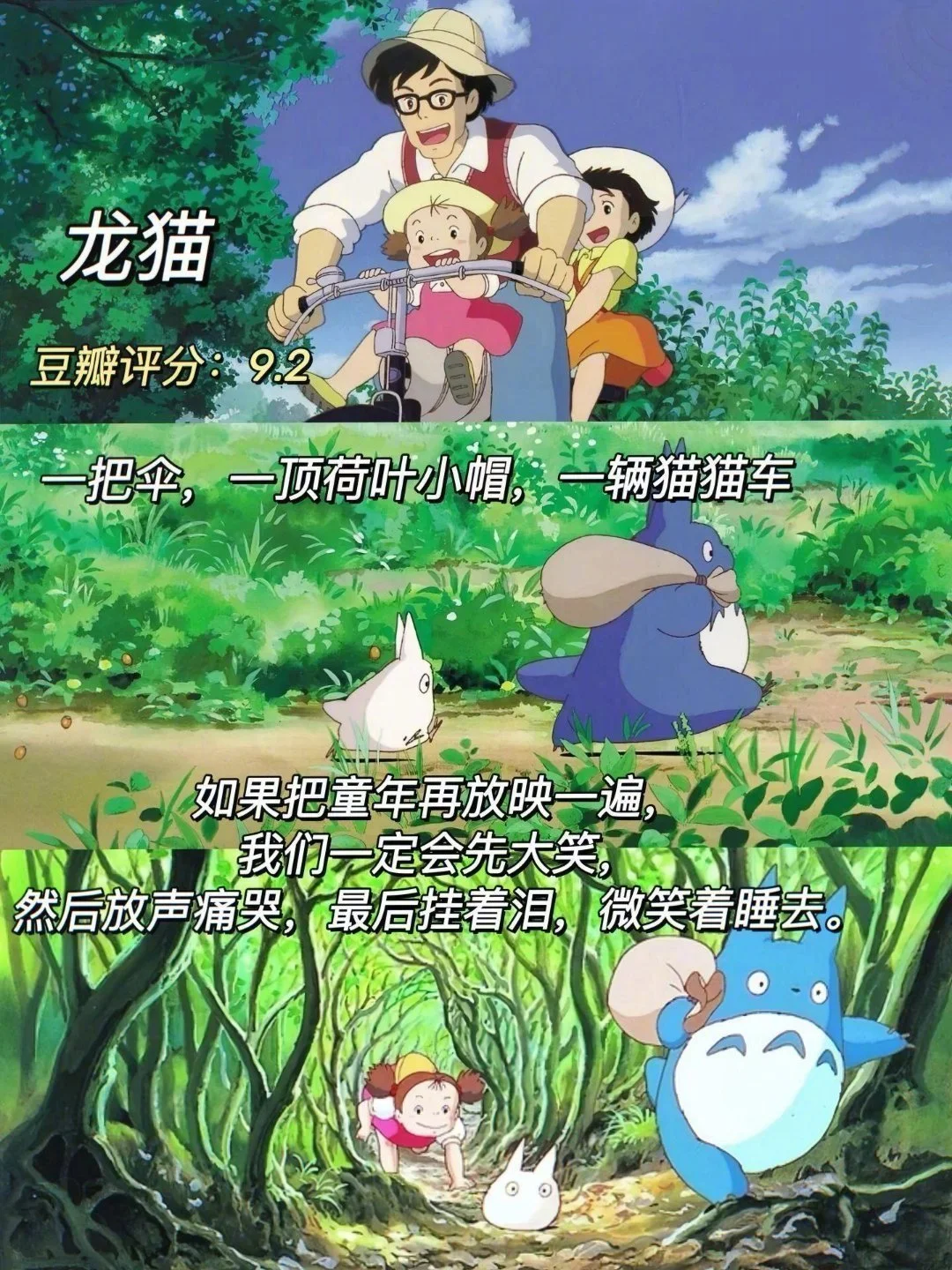 容易内耗 一定要看的10部治愈系电影 温馨