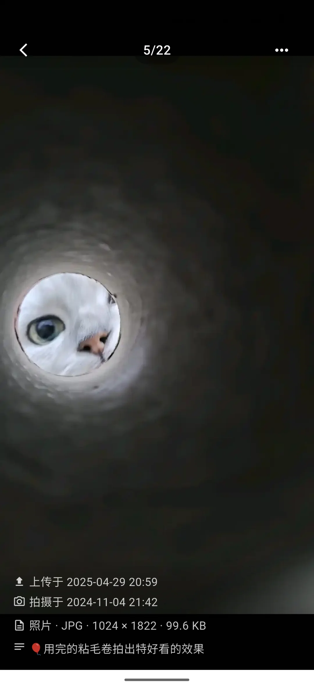 换手机之后，我自己做了一个记录宠物的APP