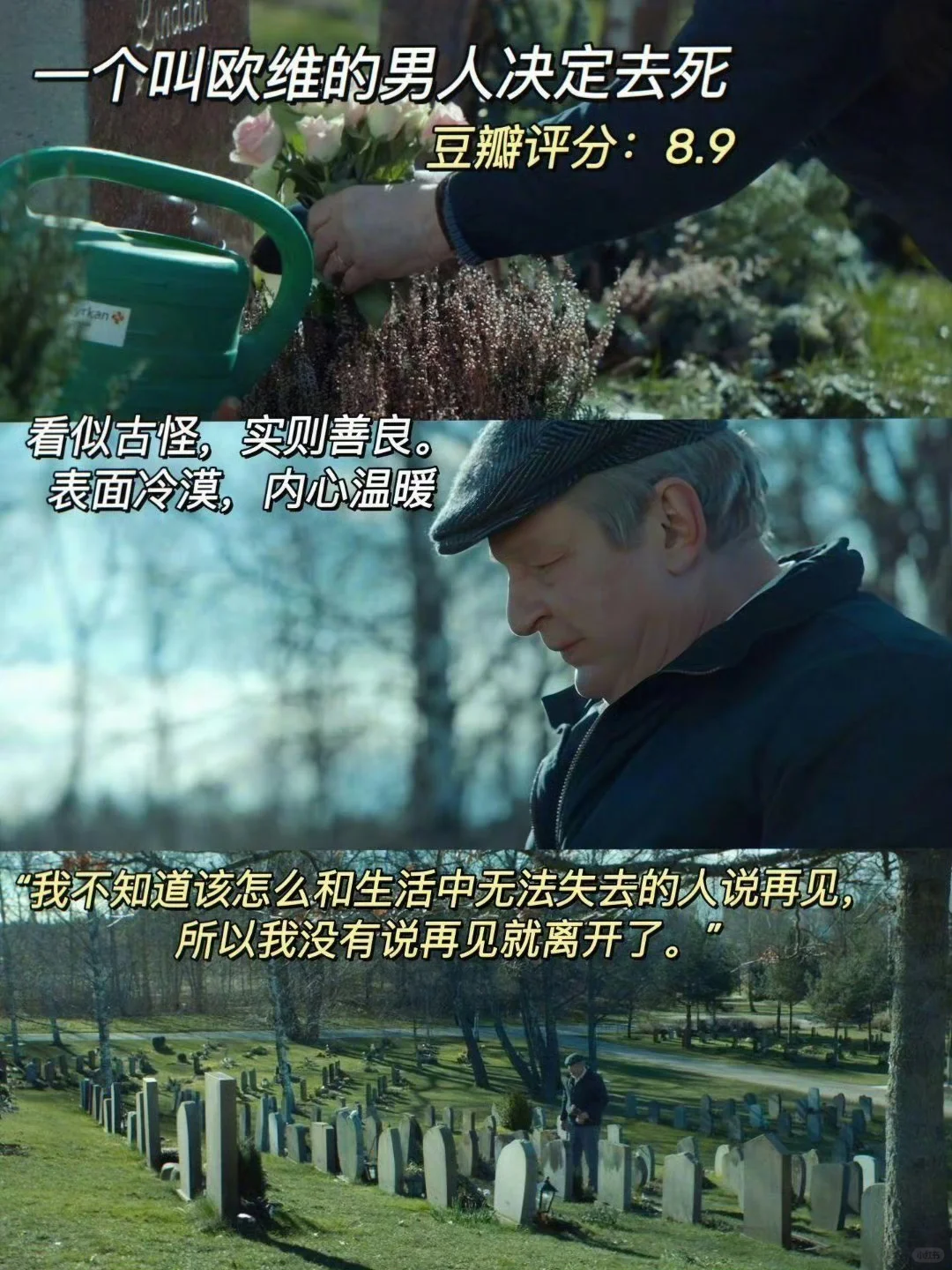 容易内耗 一定要看的10部治愈系电影 温馨