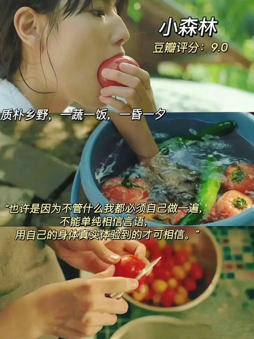 容易内耗 一定要看的10部治愈系电影 温馨