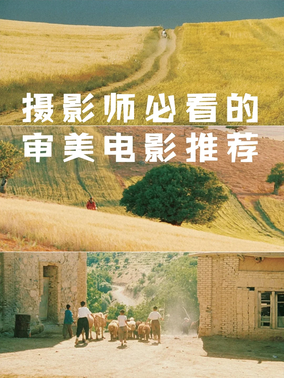 强烈推荐‼️提高审美必看的12部电影