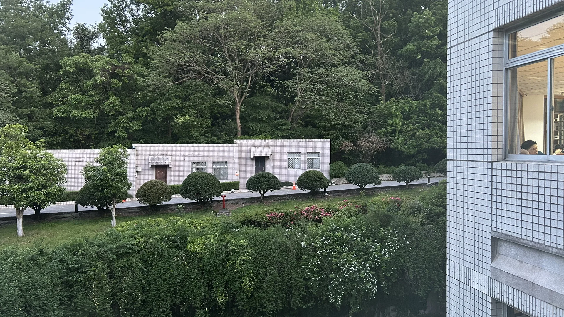 被国内所有大厂拒了一遍😭放弃安卓投奔AI