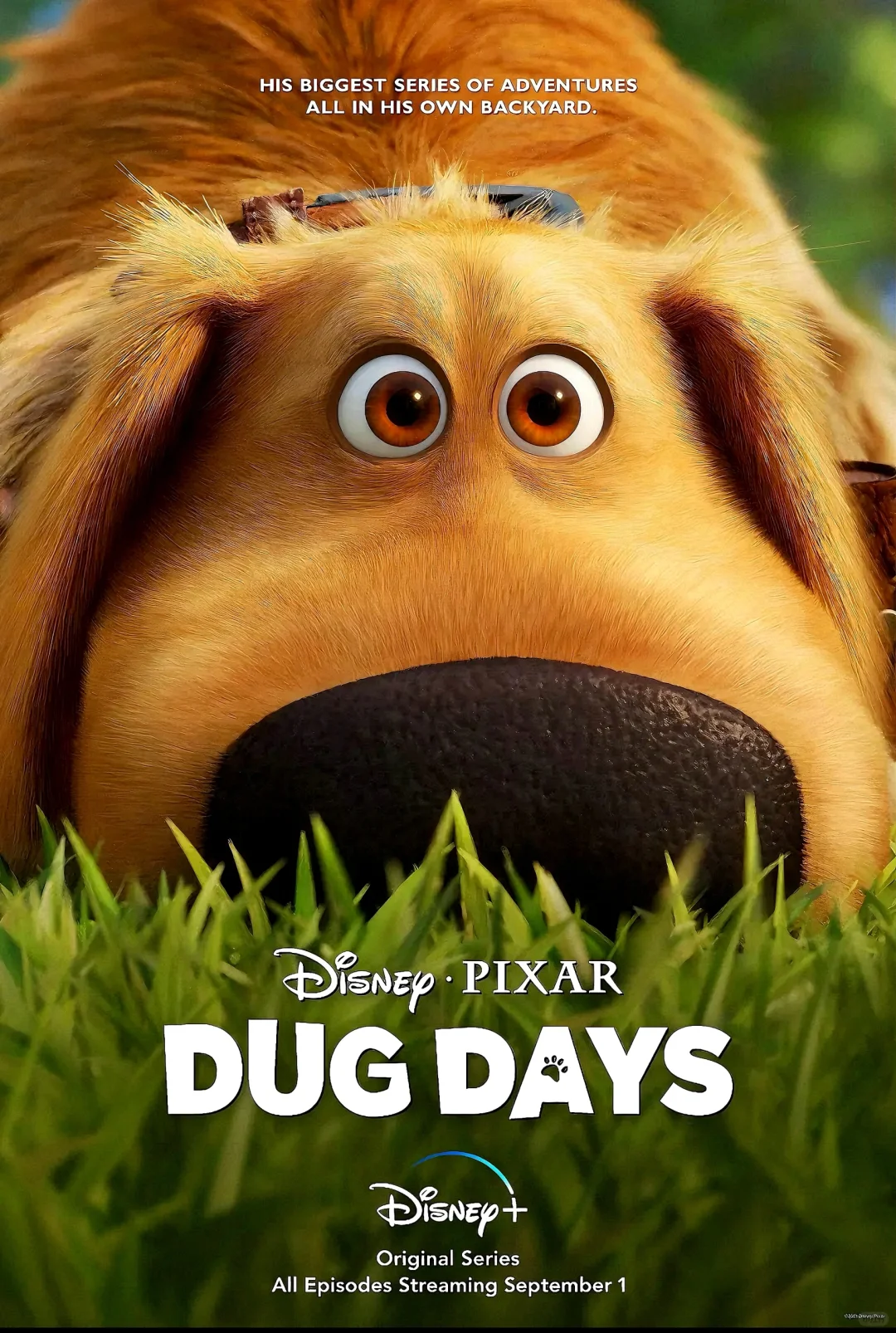 计划一年365部动画片：第8️⃣部