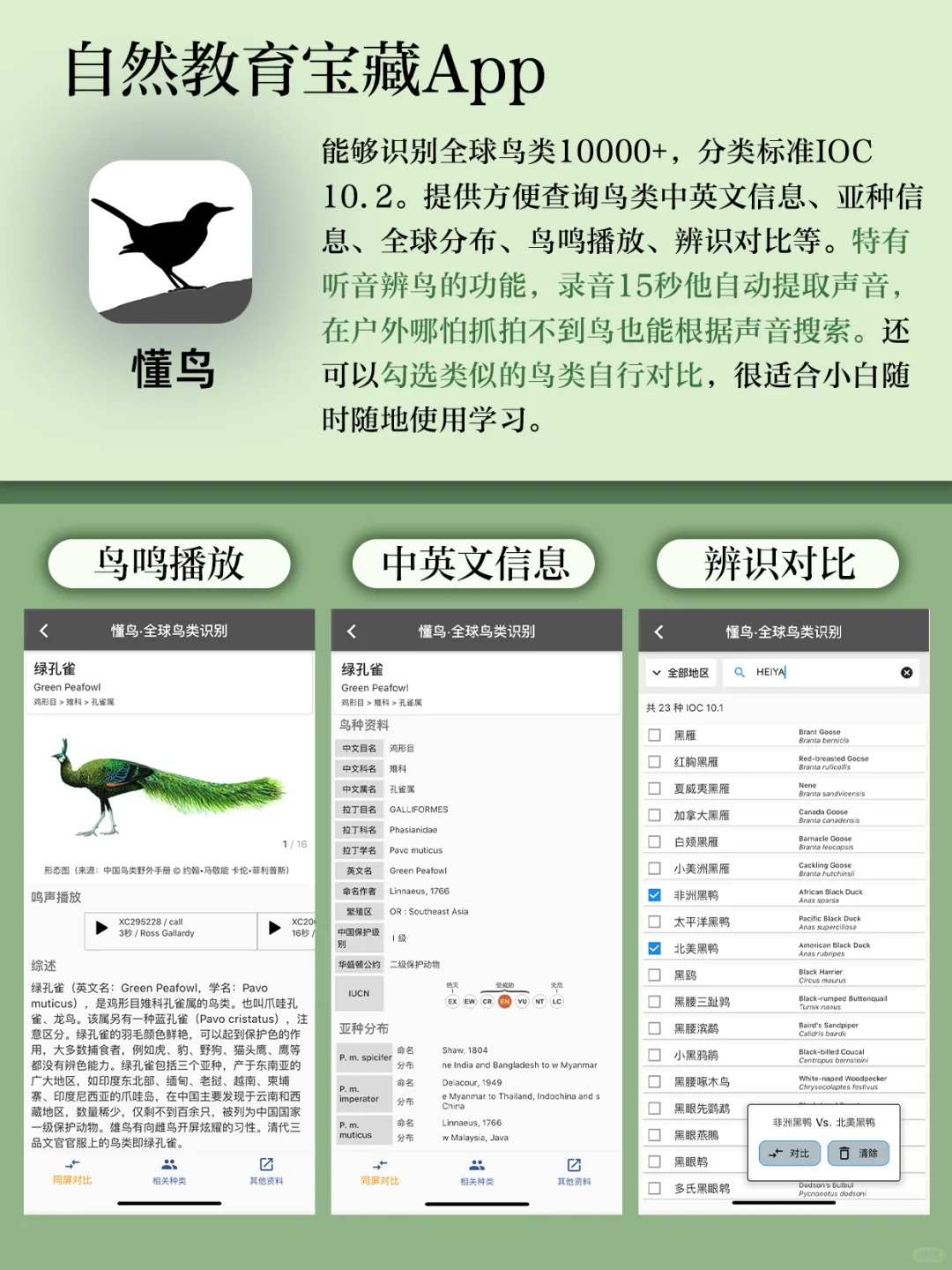 穿到荒野求生⁉️户外徒步app让你当荒野之王