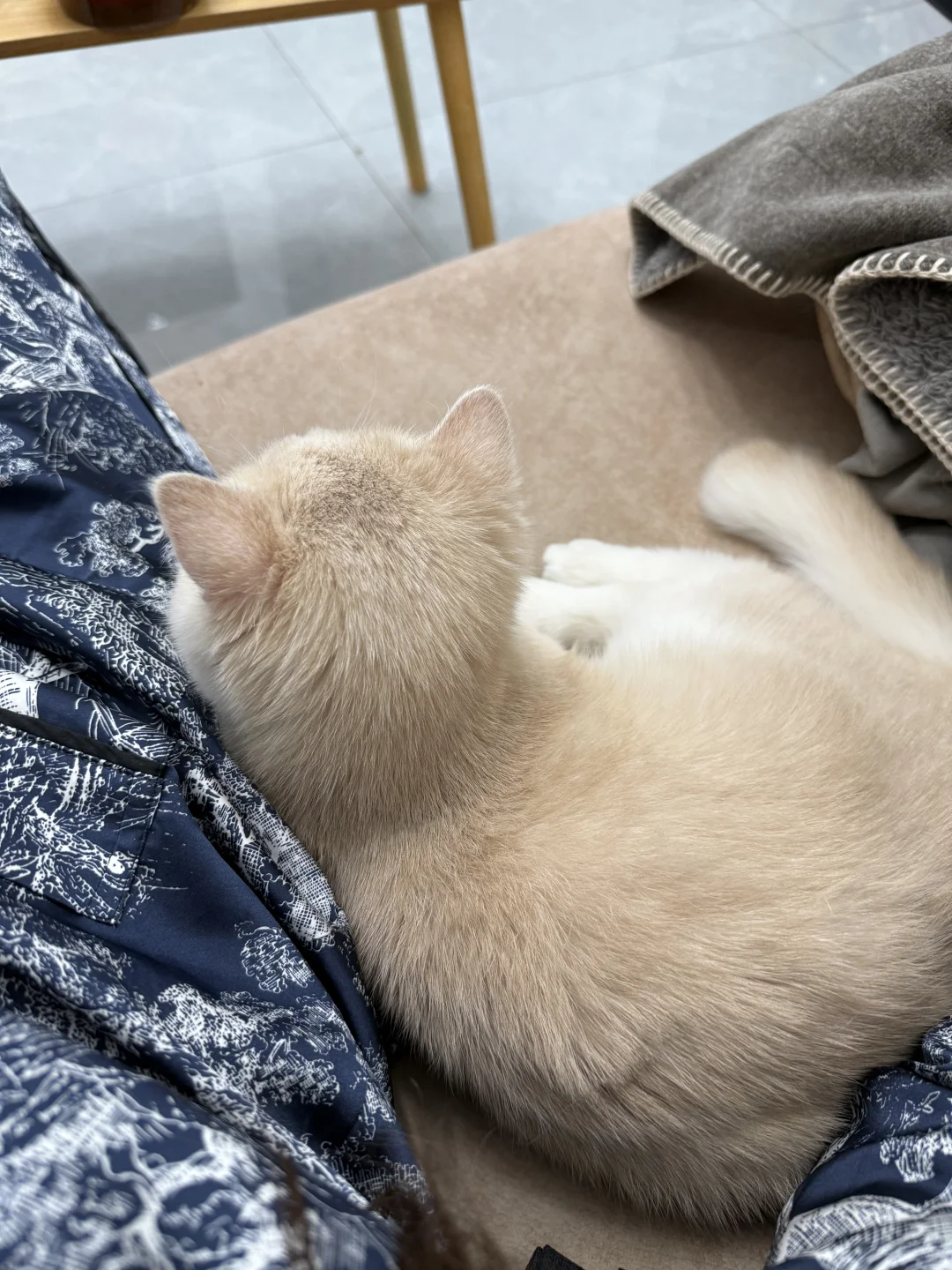 软考中级 软件评测师