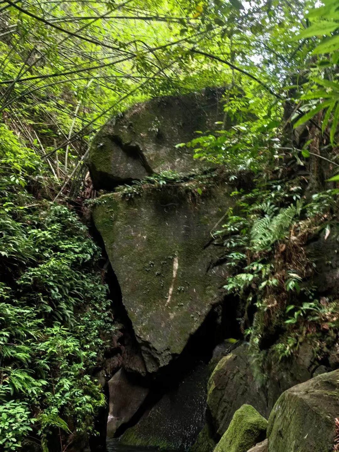 你们都在用什么po图呀