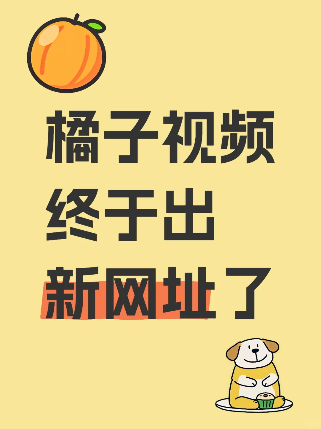 🍊新网址来喽！苹果安卓都可以