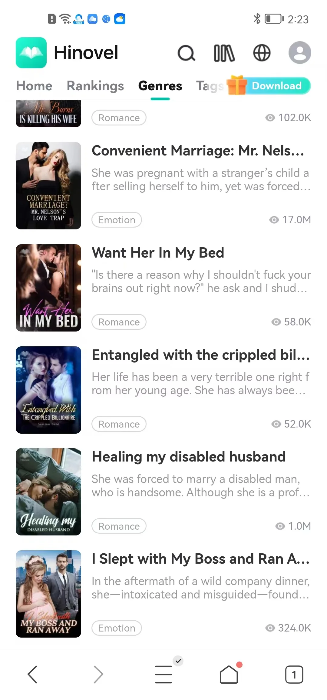 海外小说APP系统开发搭建海外小说网站开发