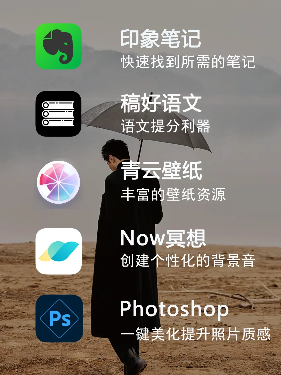 发现新大陆APP