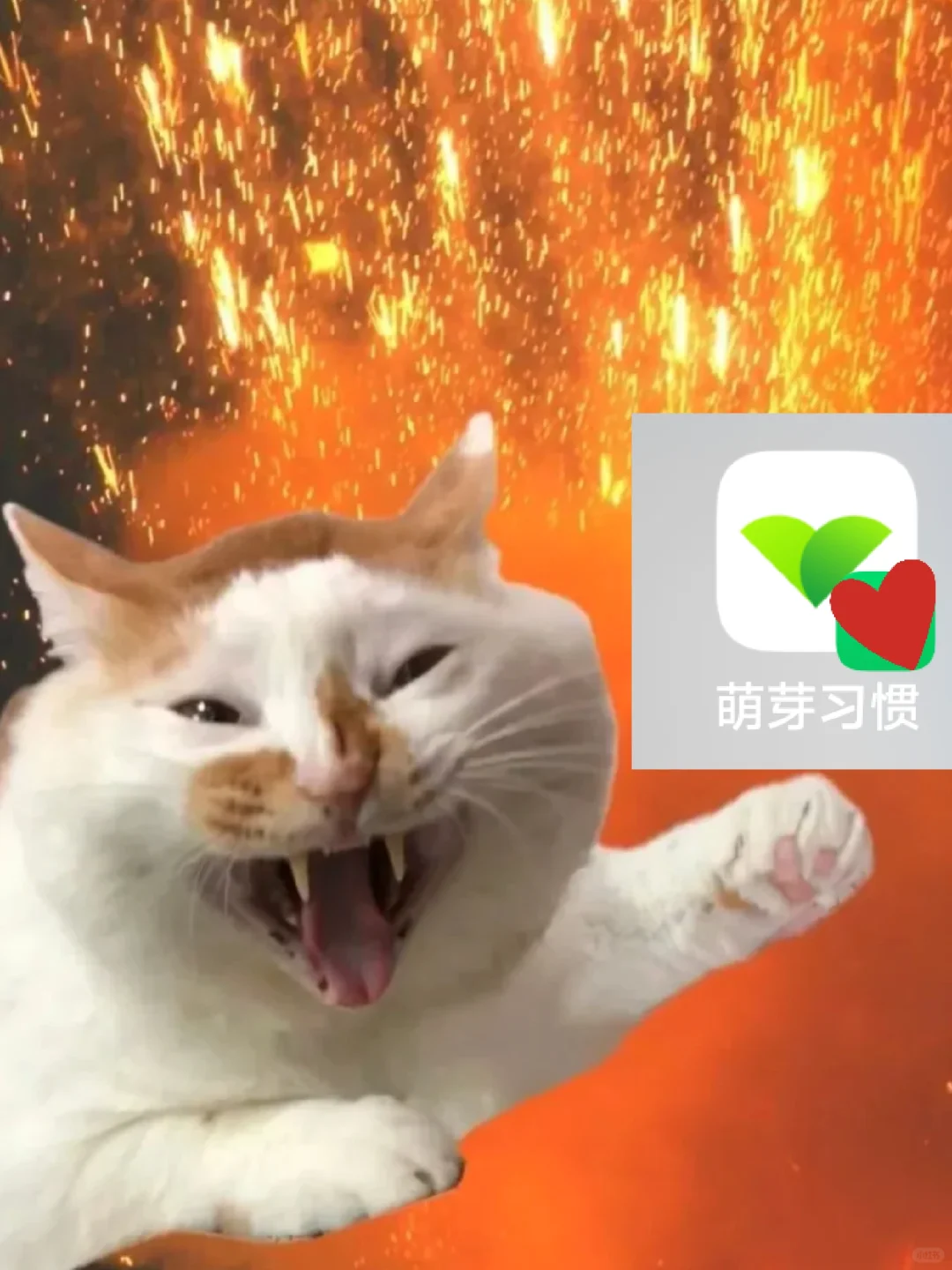救命！失踪多年的初恋APP换马甲回来了！