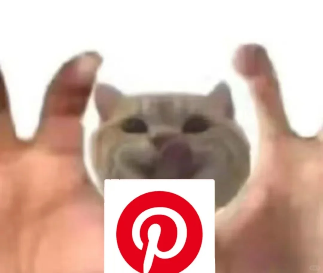 自从玩摄影就离不开pinterest了