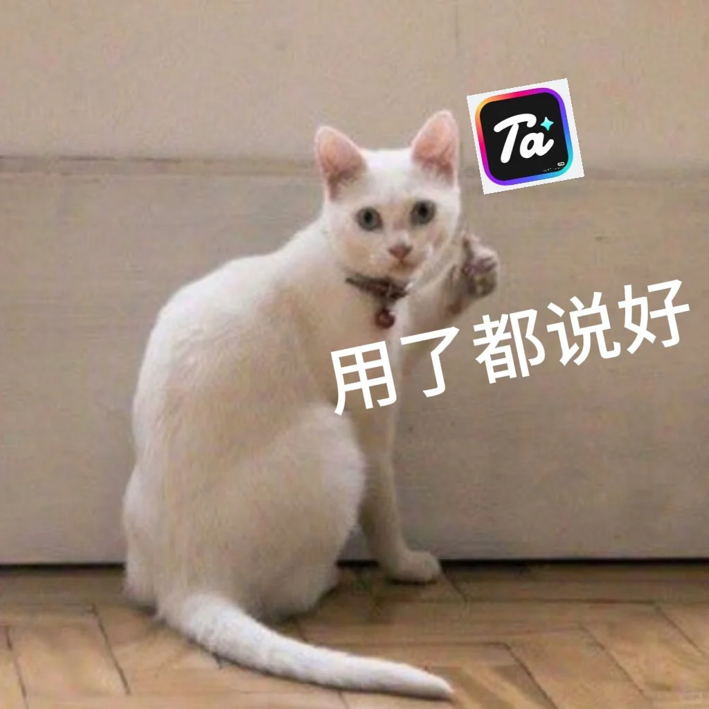 浅聊一下国内AI聊天软件🍵