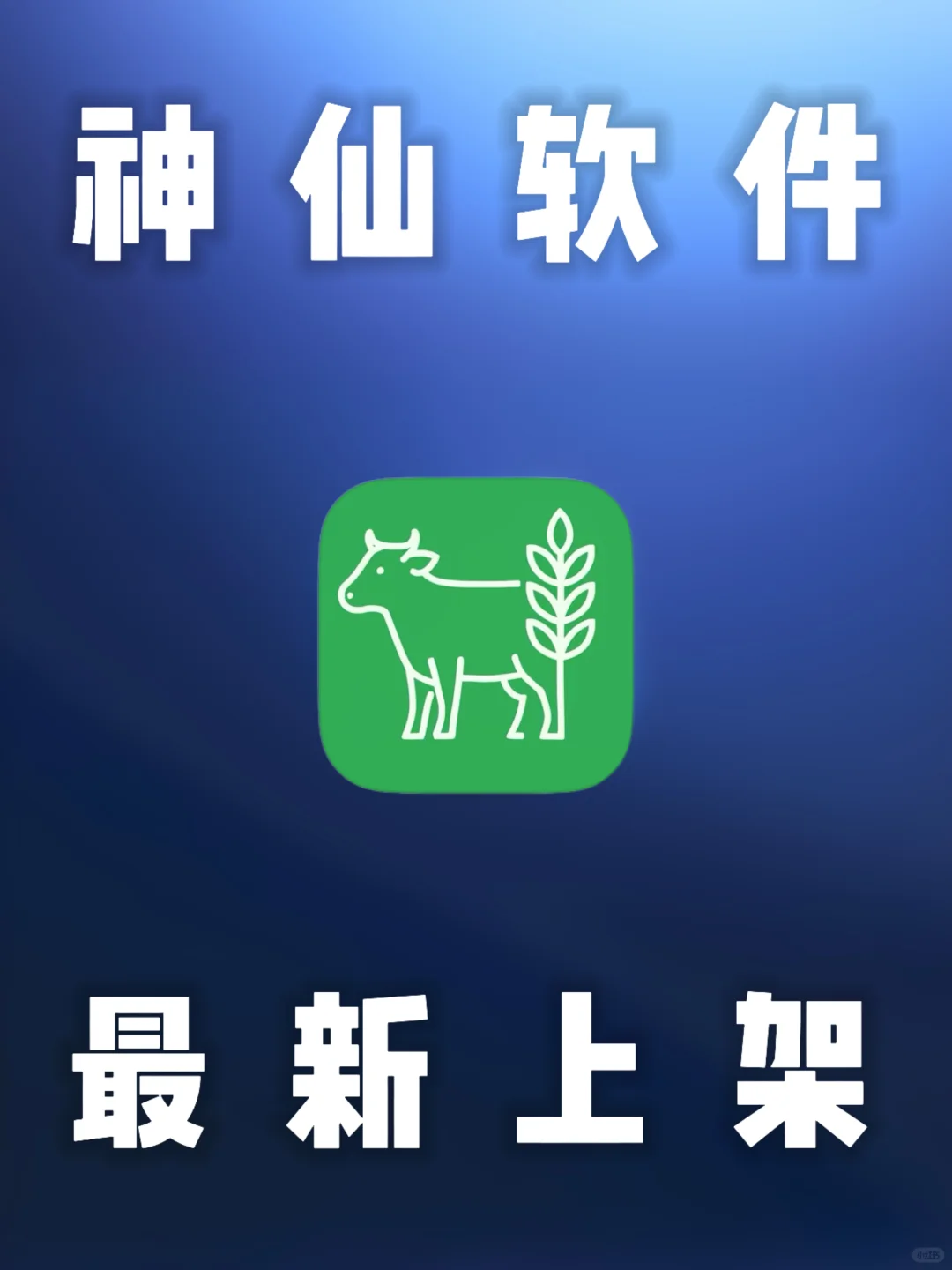 iOS｜苹果宝藏软件，神仙App