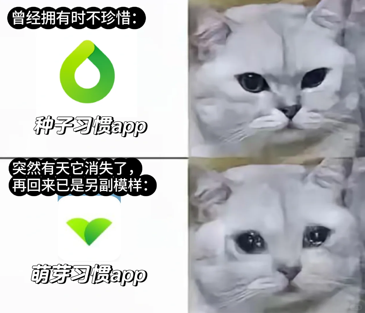 救命！失踪多年的初恋APP换马甲回来了！