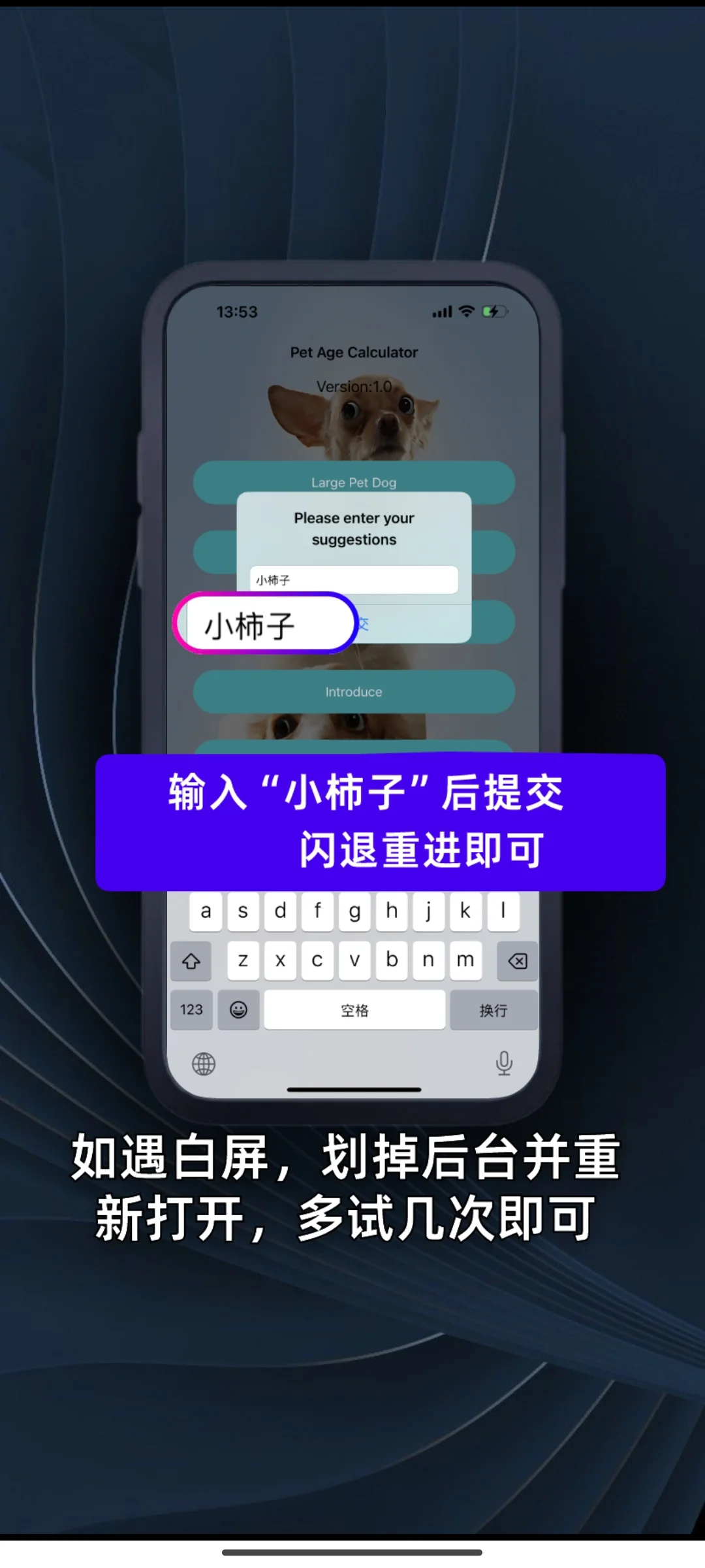 最新iOS追剧应用