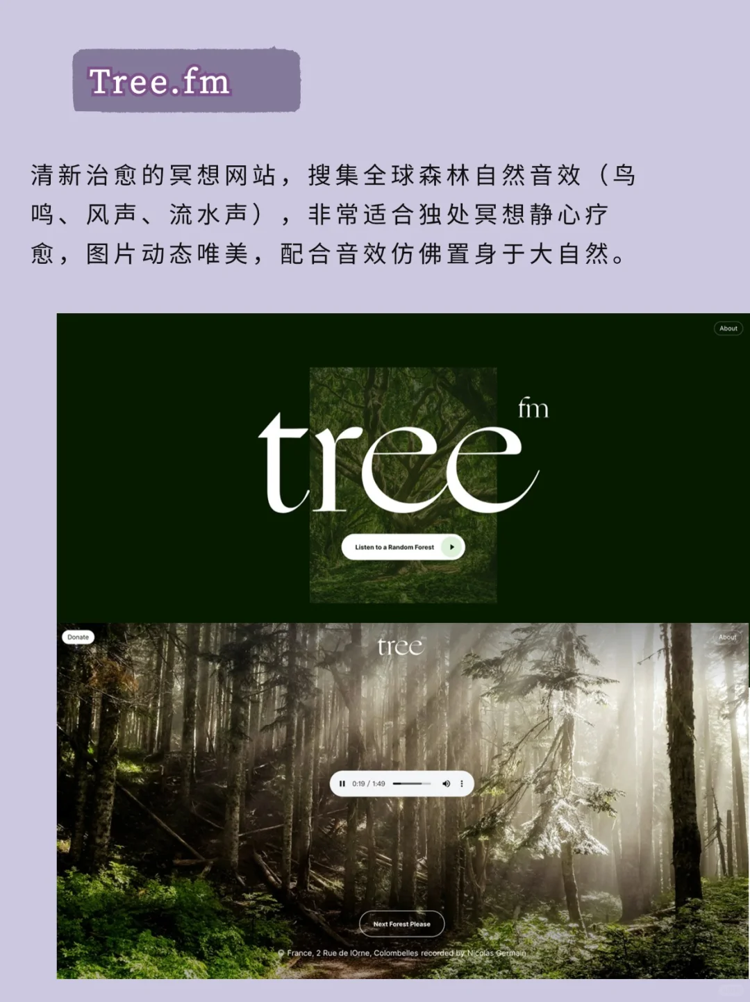 这网站也太好玩了吧，超绝摸鱼好搭子上线！