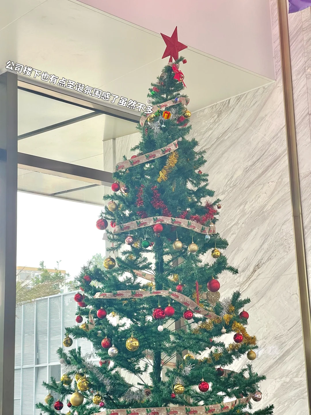 🫧Plog｜外企常用的办公软件💻👀