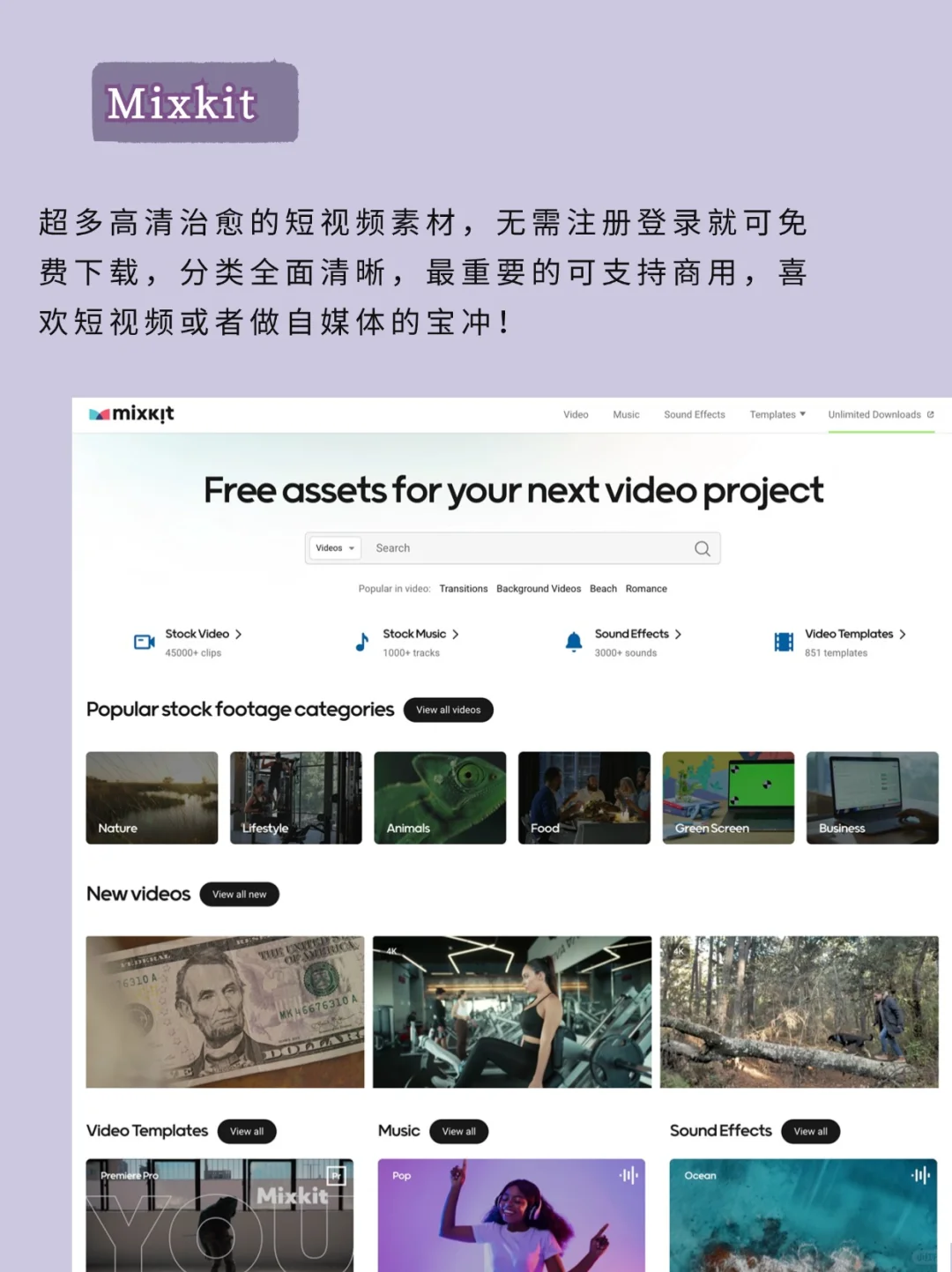 这网站也太好玩了吧，超绝摸鱼好搭子上线！