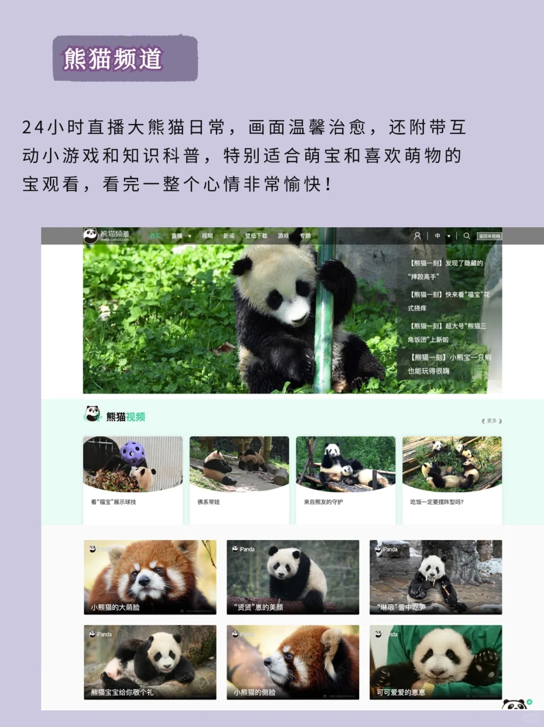 这网站也太好玩了吧，超绝摸鱼好搭子上线！