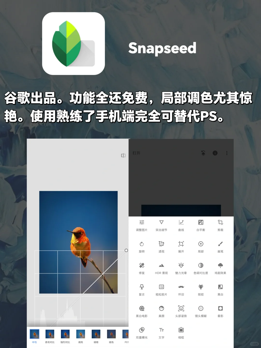 这四款软件顶台徕卡！拍照瞬间高级感