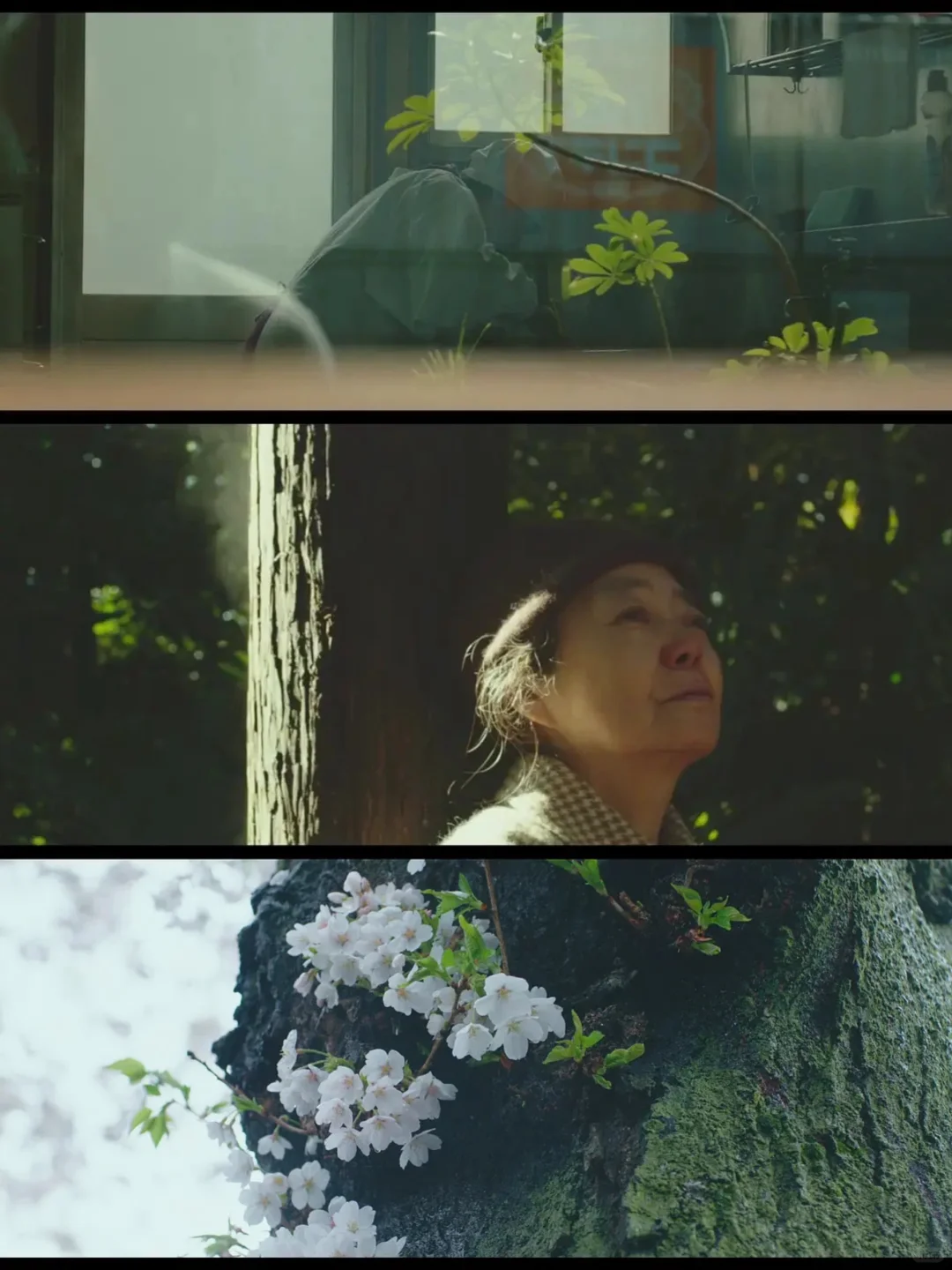 爆哭😭怎么才发现这部电影❗️后劲太大了‼️