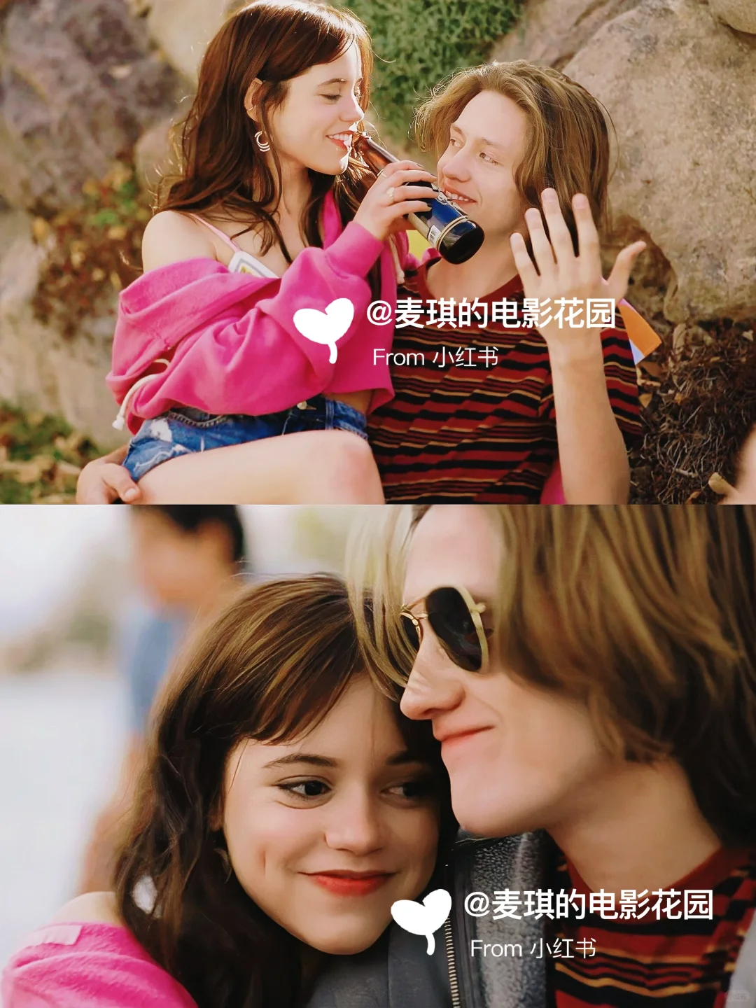 温柔乖小狗谁不爱？生理喜欢被北美拍出来了！