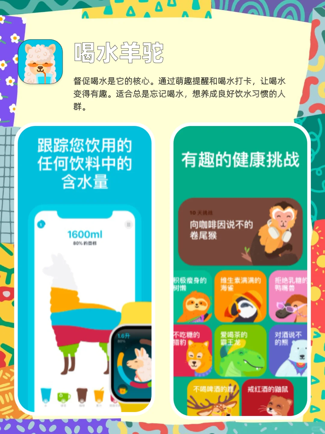 免费宝藏减肥App合集来啦!速码