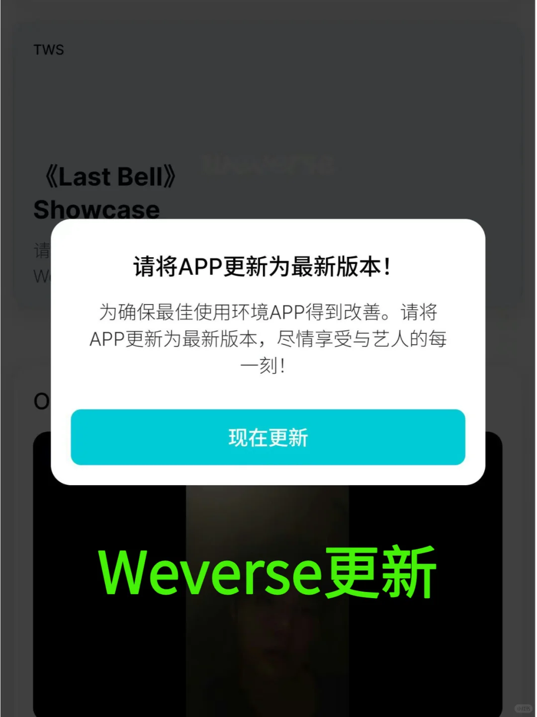Weverse安卓下载最新版本，wvs更新安装包