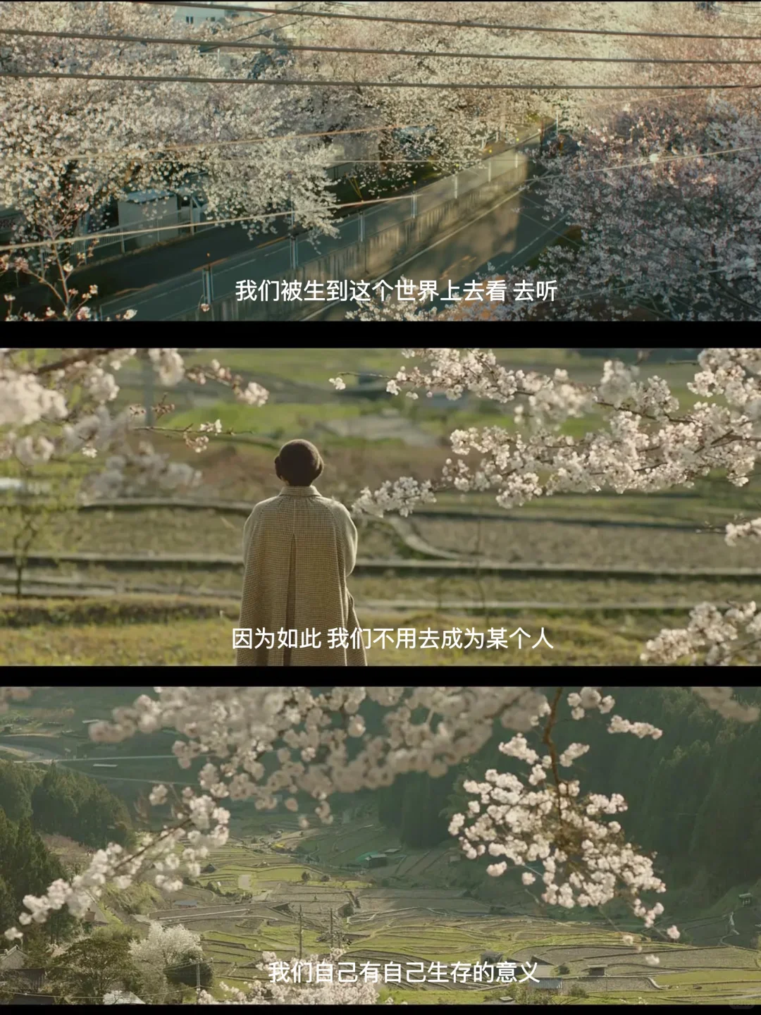 爆哭😭怎么才发现这部电影❗️后劲太大了‼️