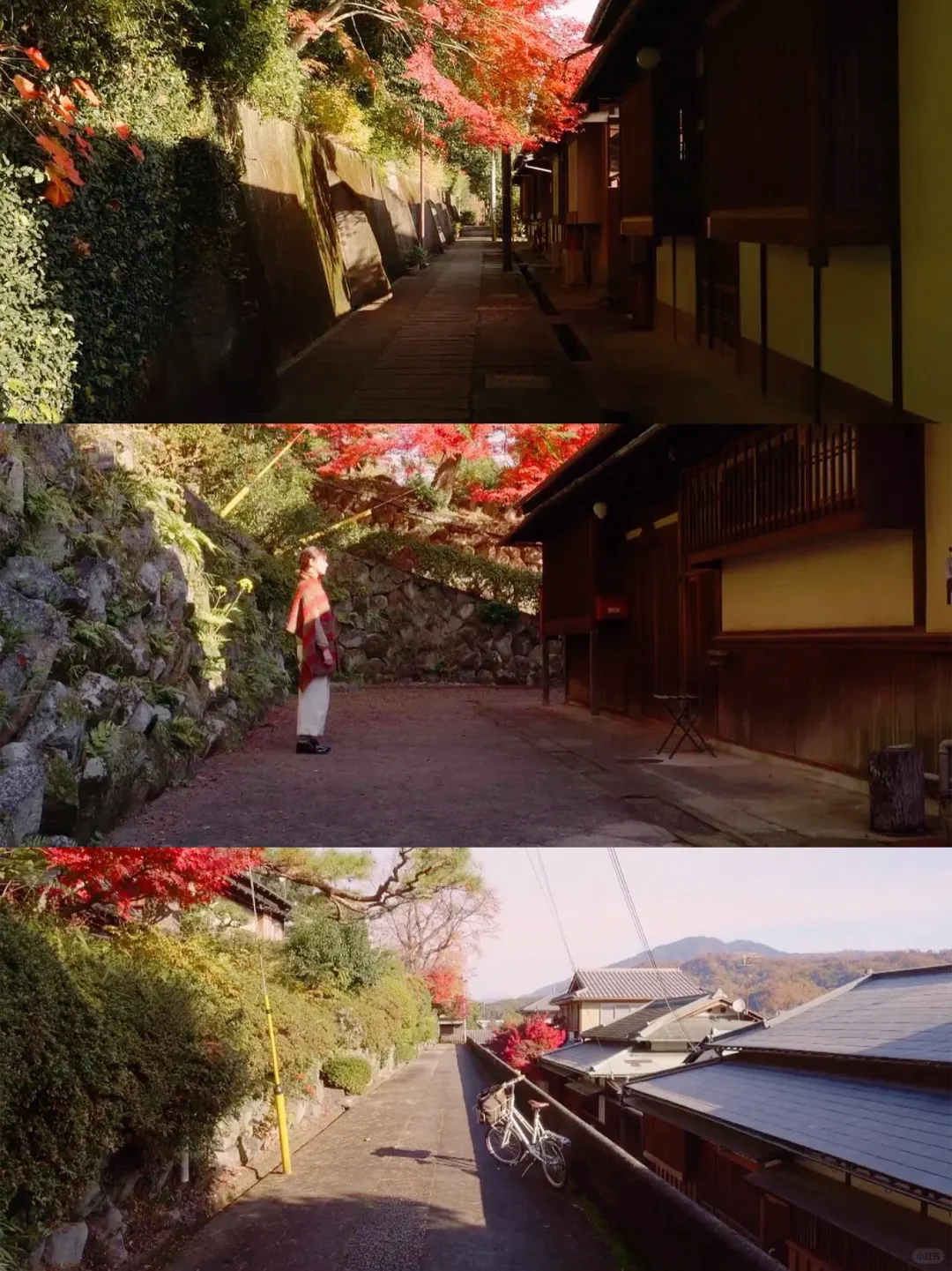 感谢这部电影治好了我的精神内耗🙏