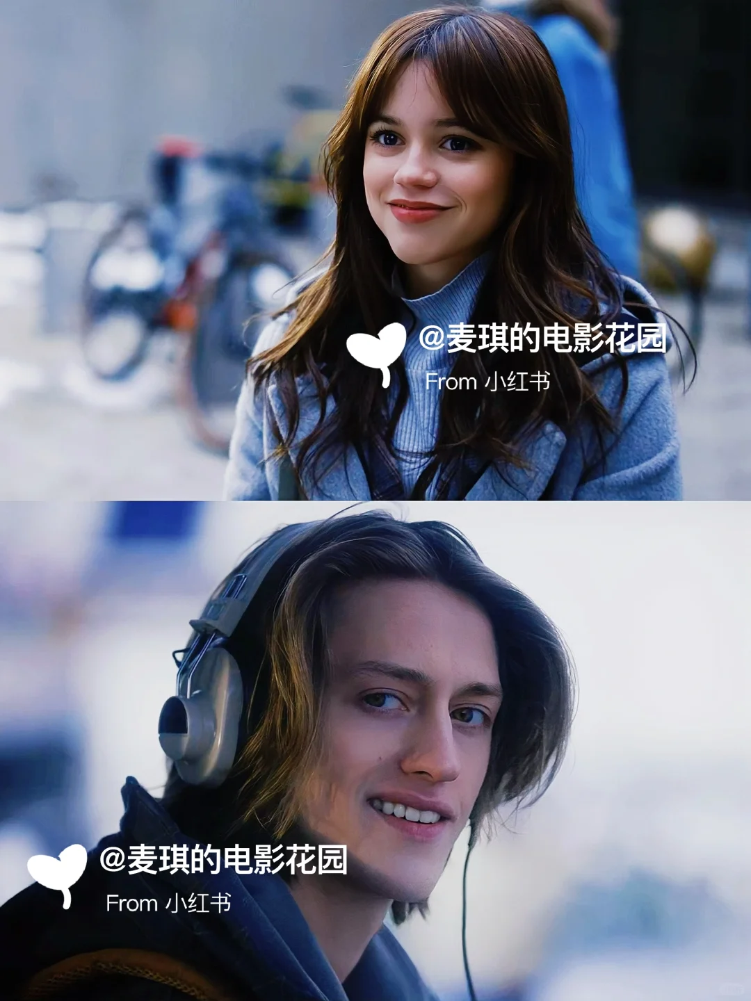 温柔乖小狗谁不爱？生理喜欢被北美拍出来了！