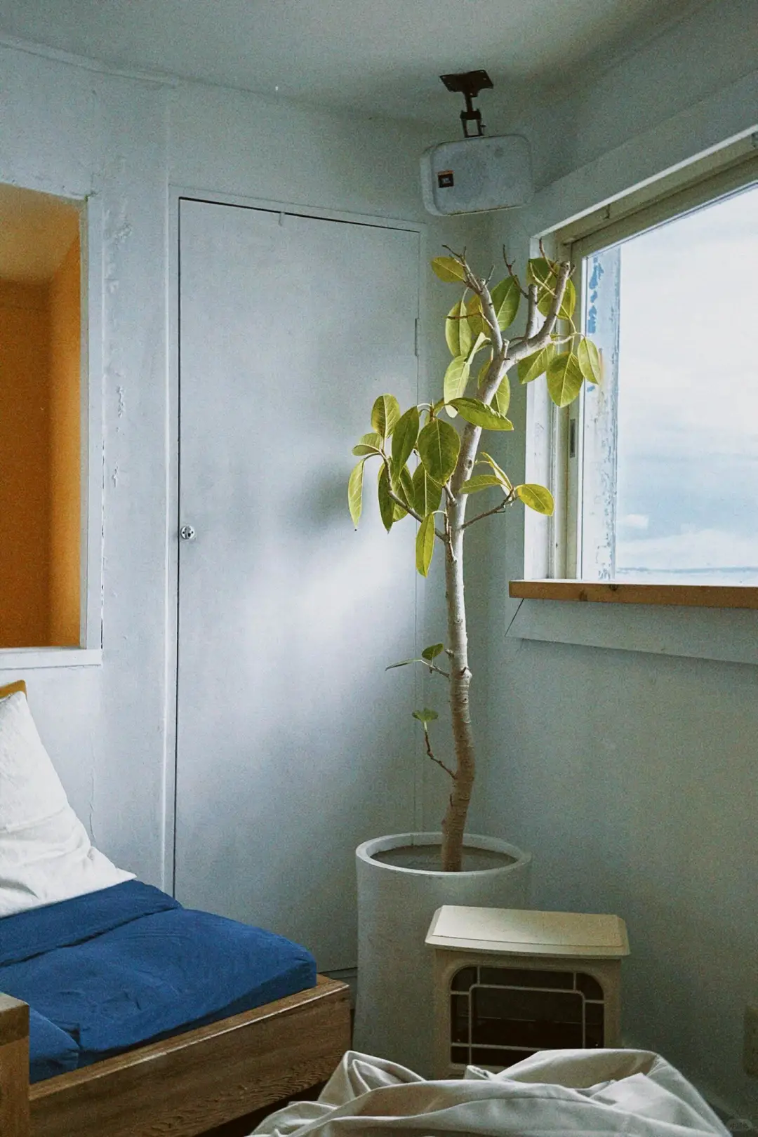 苹果专属福利！Dazz会员2元全滤镜解锁！