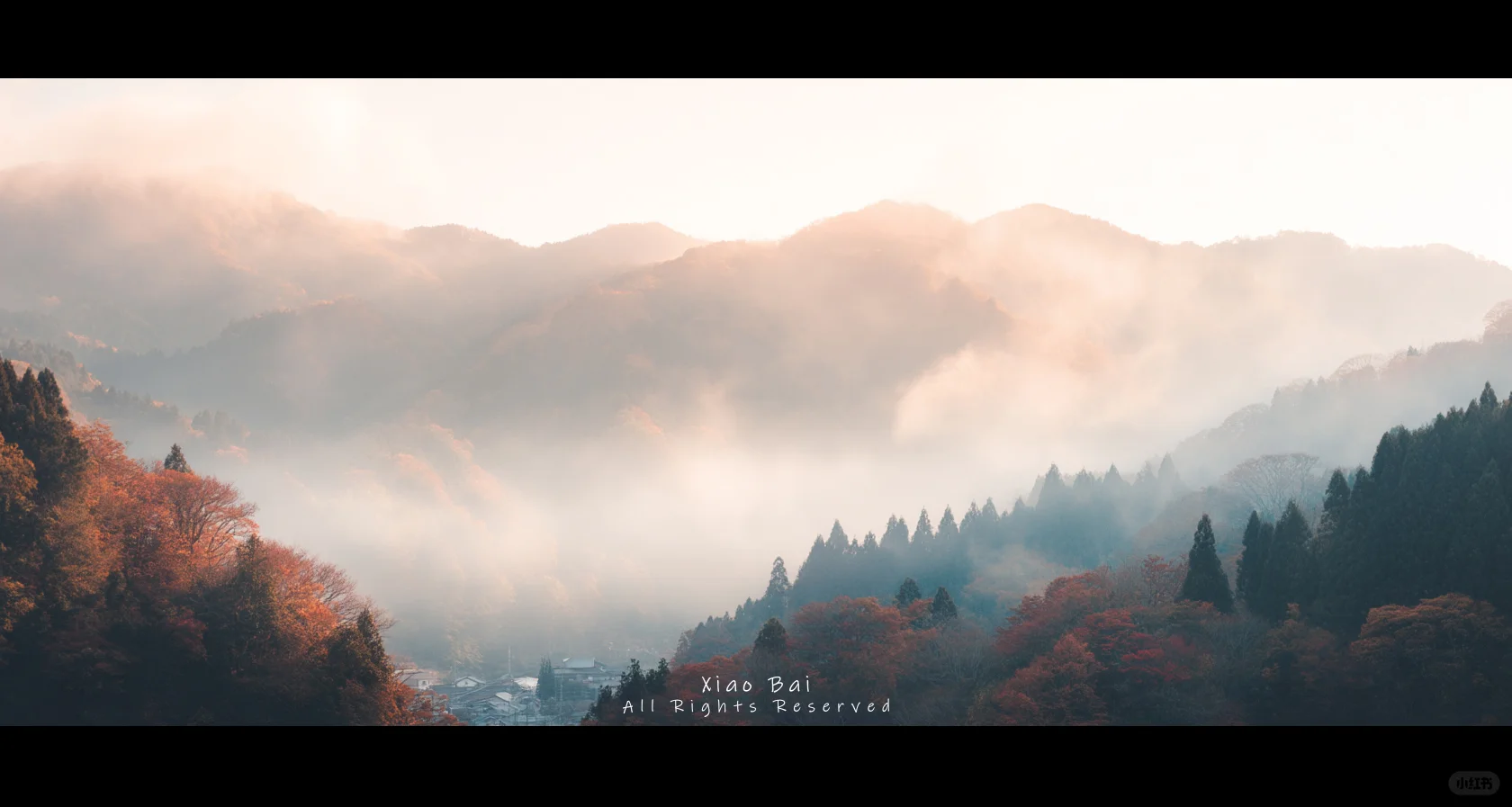 🎥电影感 | 山间云雾